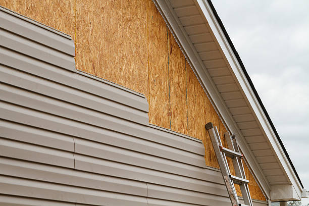 Professional Wood Siding technician working in Zephyrhills, FL